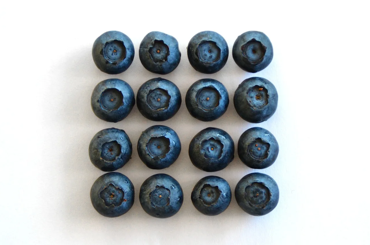 blueberries 2108547 1280 jpg